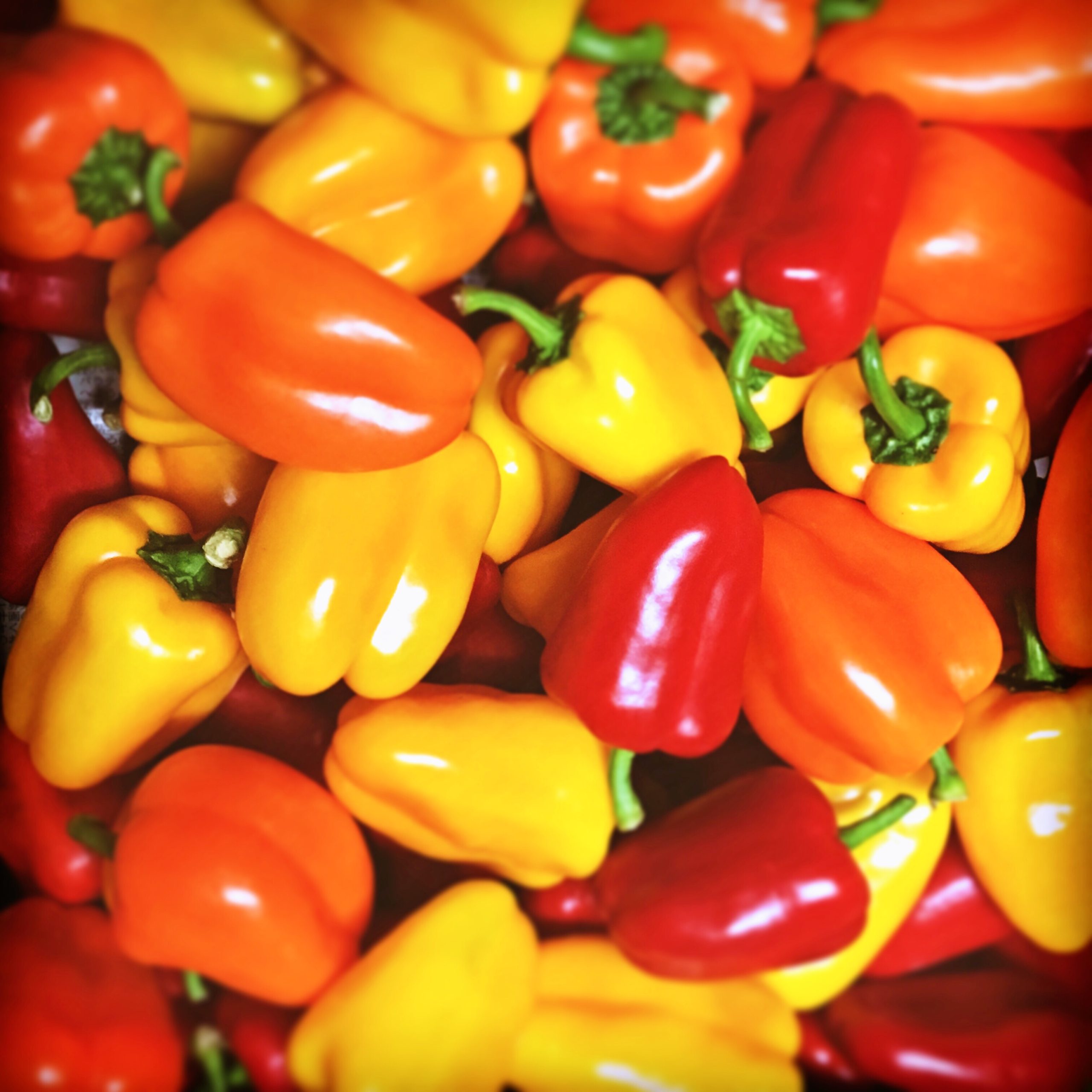 パプリカ 旬の里まみが丘 みのりの里しらにわ 有機jas 減農薬栽培の野菜直売所 パプリカ 旬の里まみが丘 みのりの里しらにわ 有機jas 減農薬栽培の野菜直売所