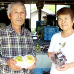 天理市宮本農園　宮本照三さんと静子さん