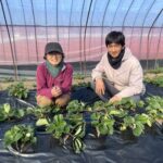 大和郡山市　『いのうえ農苑』井上英治さん・和恵さん